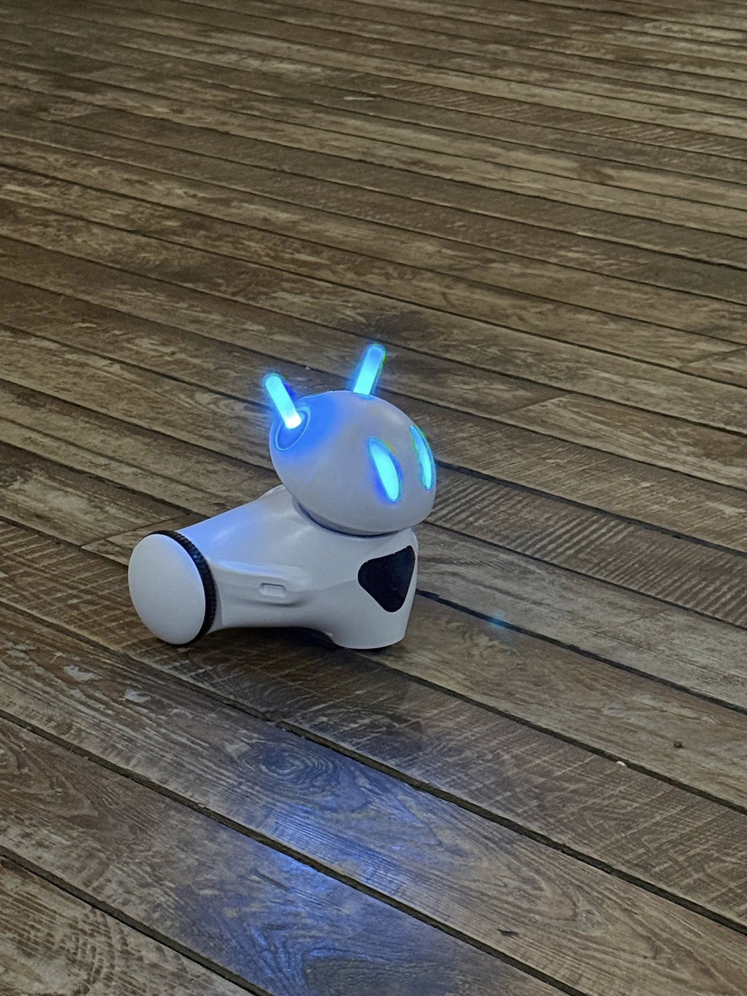 Robot edukacyjny